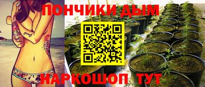 дурь Гай