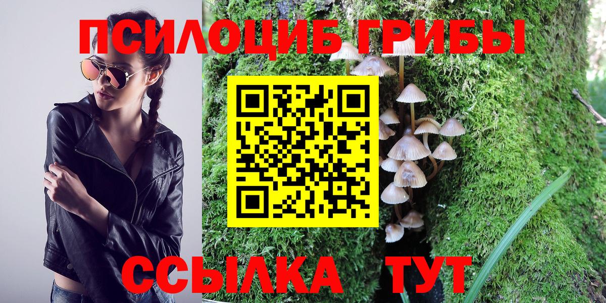 Псилоцибиновые грибы Cubensis  Вход с VPN  Псилоцибиновые грибы Psilocybine cubensis  Белая Калитва 